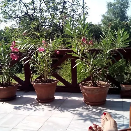 3 Platana Homestay *