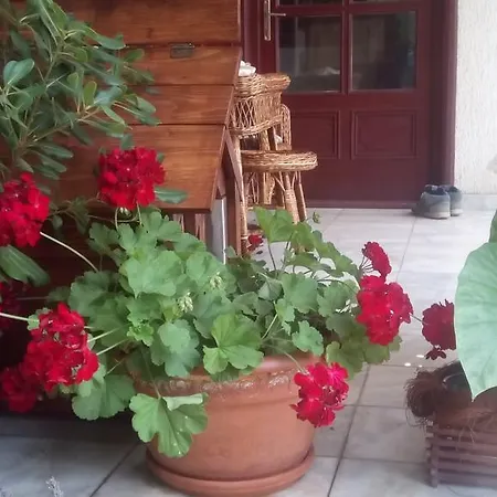 3 Platana בית אירוח