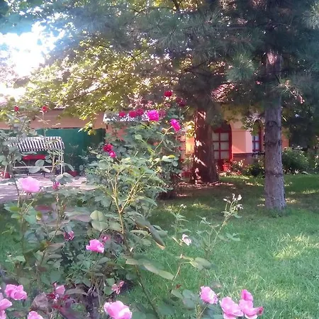 בית אירוח 3 Platana