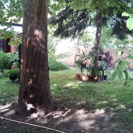 Homestay 3 Platana Palic