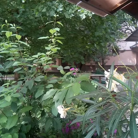 3 Platana Homestay