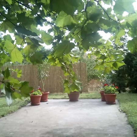 Homestay 3 Platana *