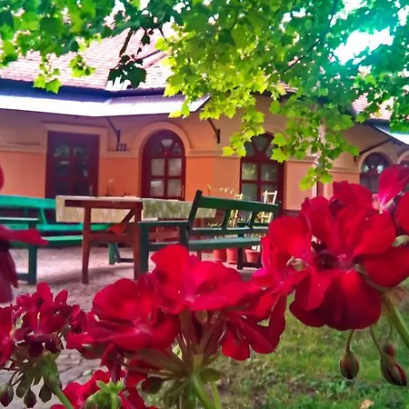 3 Platana Homestay Palic