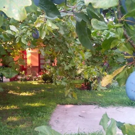 בית אירוח 3 Platana *