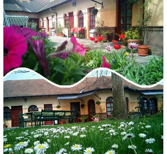 Alloggio in famiglia 3 Platana *