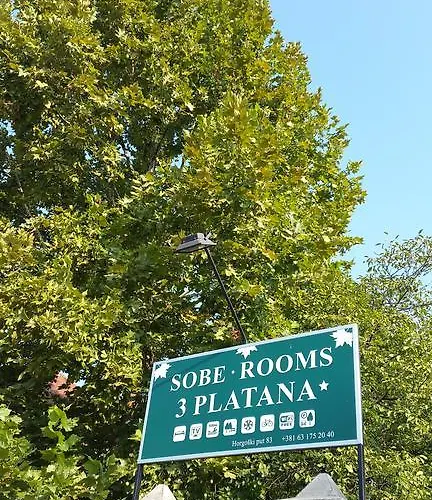 3 Platana Alloggio in famiglia