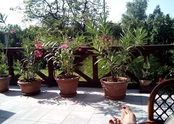 3 Platana Alloggio in famiglia *