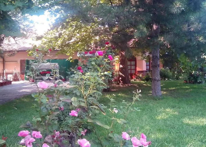 Alloggio in famiglia 3 Platana