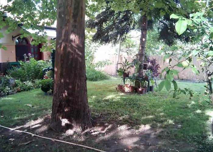 Alloggio in famiglia 3 Platana Palić