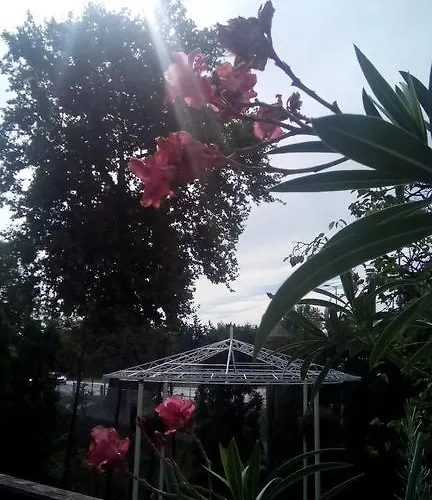 3 Platana Alloggio in famiglia Palić