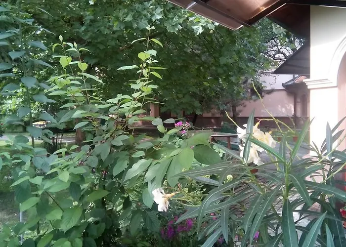 3 Platana Alloggio in famiglia