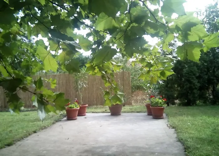 Alloggio in famiglia 3 Platana *