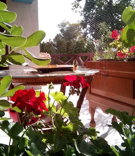 3 Platana Alloggio in famiglia *