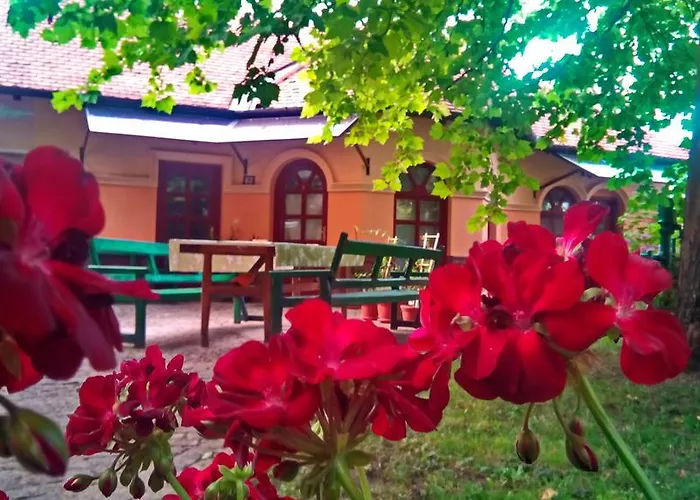 3 Platana Alloggio in famiglia Palić