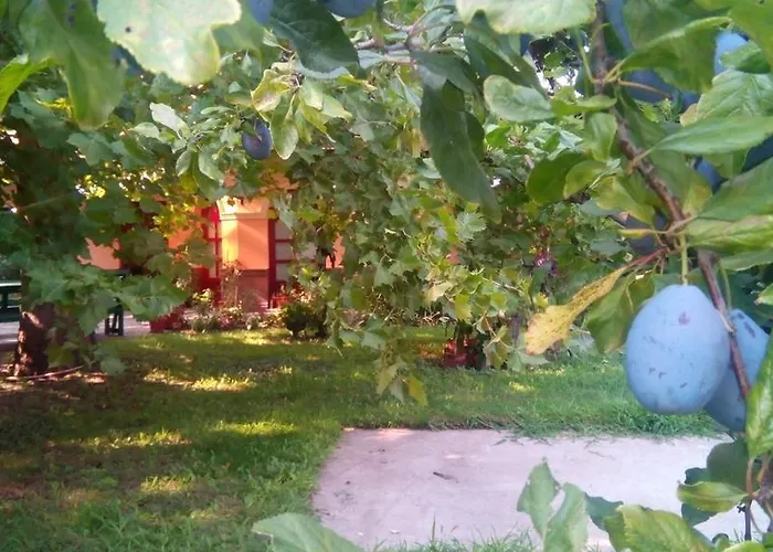 Alloggio in famiglia 3 Platana *