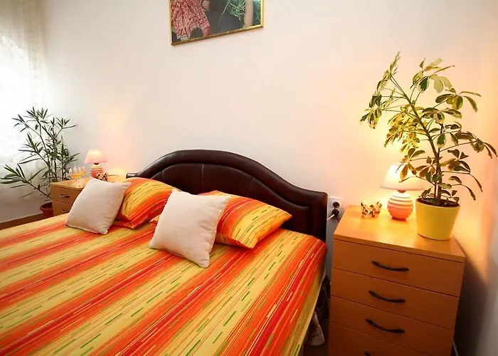 3 Platana Alloggio in famiglia Palić